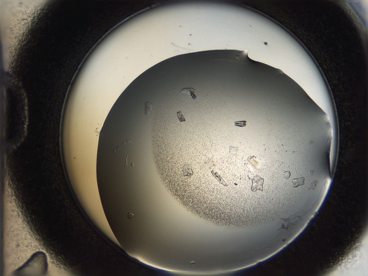 05ch_D11_ImagerDefaults_8.jpg