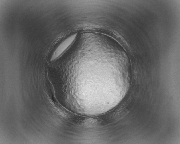 X0000055210257200508301329.png