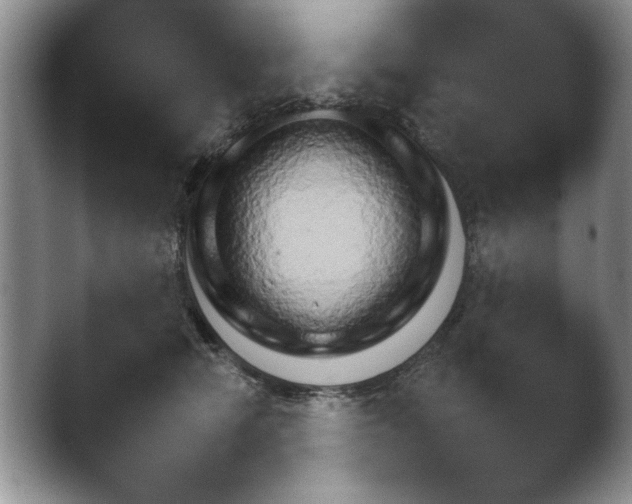 X0000041230466200411182048.png