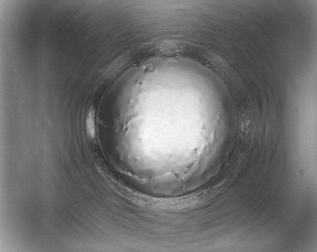 X0000055060046200508161657.png