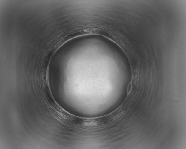 X0000055210653200508301323.png
