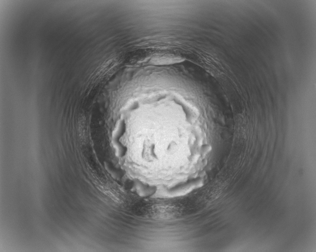 X0000055060650200508161647.png