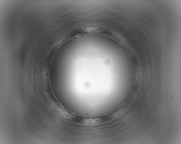 X0000054330461200508111923.png
