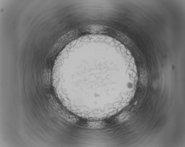 X0000054580461200508300105.png