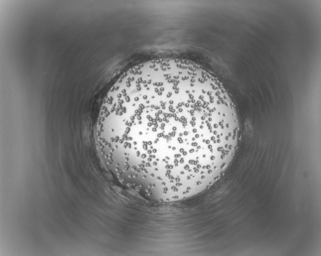 X0000054271300200508261905.png