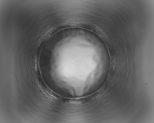 X0000055210644200508301323.png