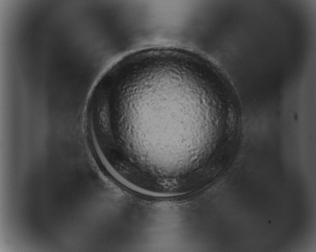 X0000043161421200411300932.png