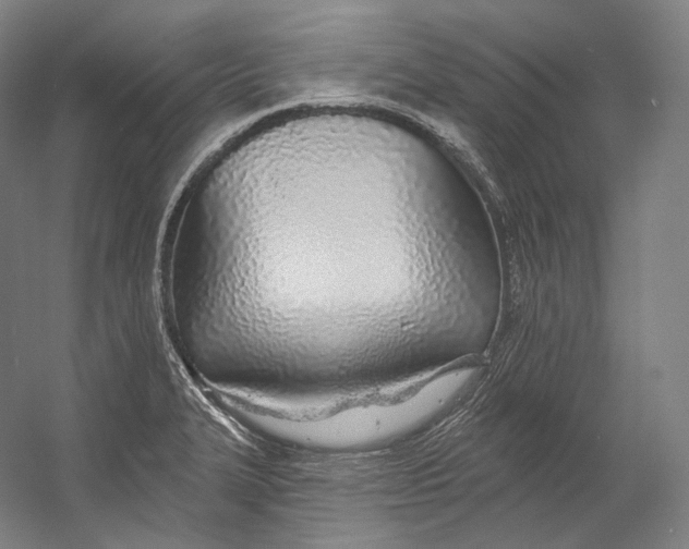 X0000055211327200508301311.png
