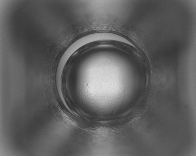 X0000051110441200507141801.png