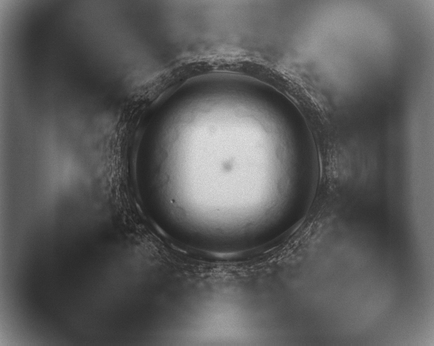 X0000044151063200412271248.png