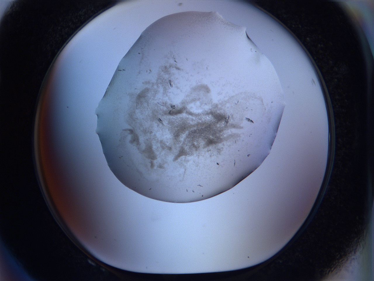 05ck_F8_ImagerDefaults_8.jpg