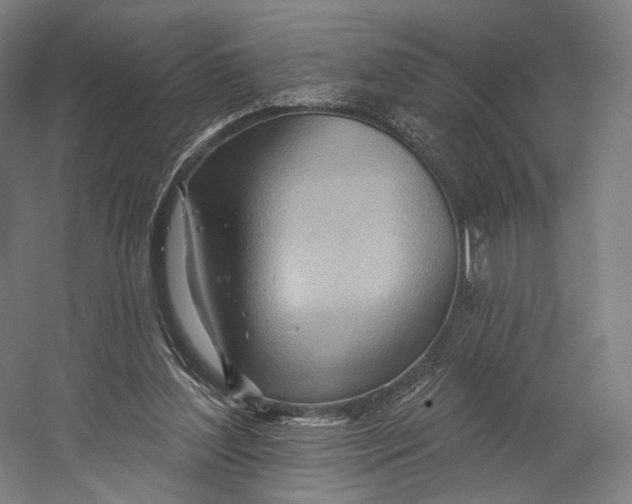 X0000055210204200508301330.png