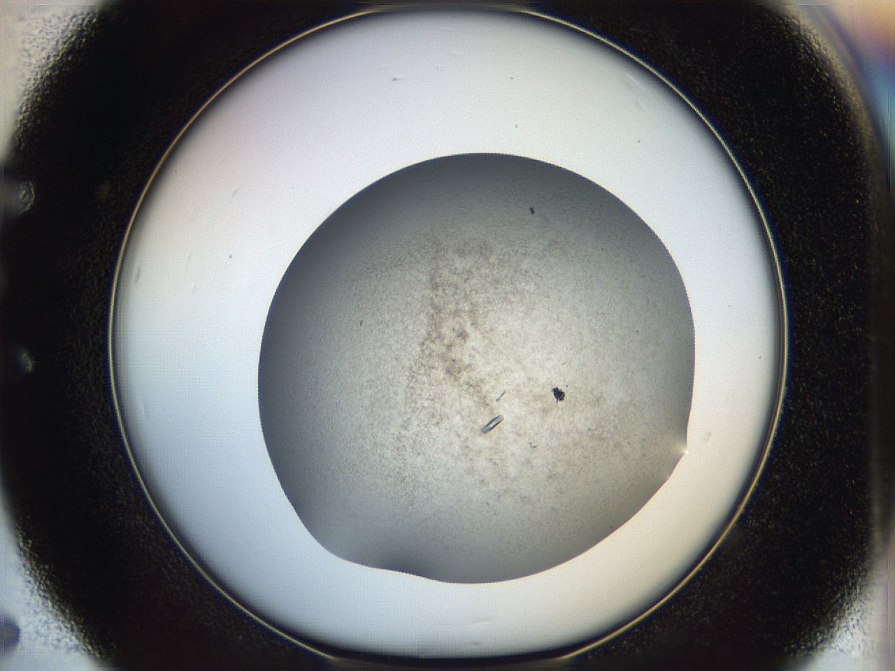 05cl_E5_ImagerDefaults_9.jpg