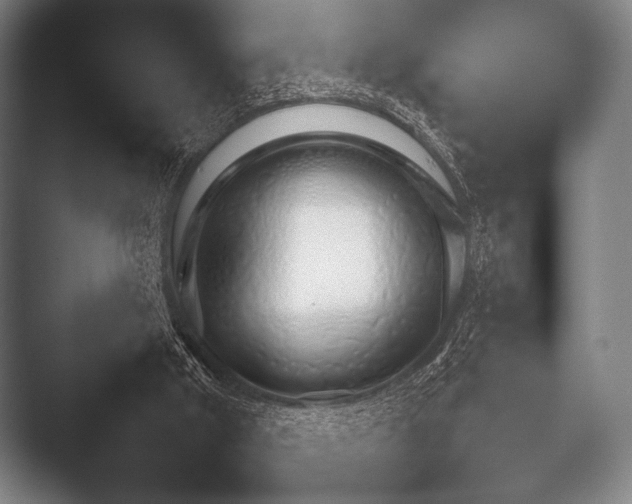 X0000052020010200507181638.png