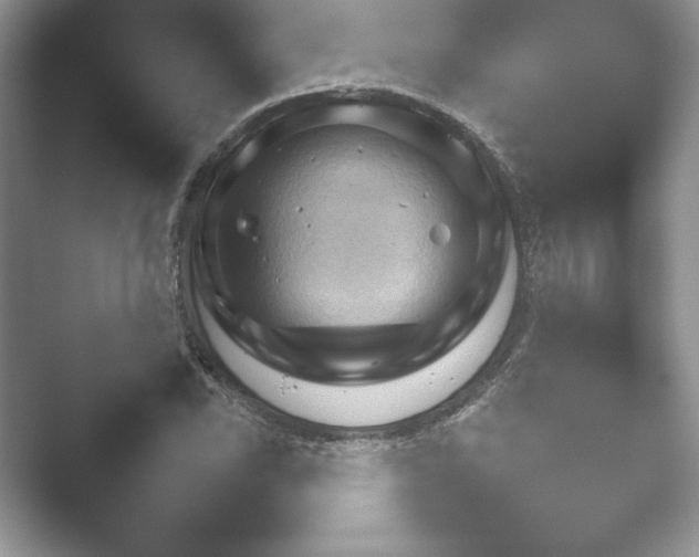 X0000052451118200507211307.png
