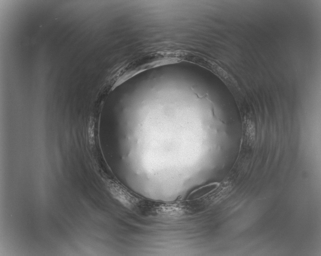 X0000055060668200508161647.png