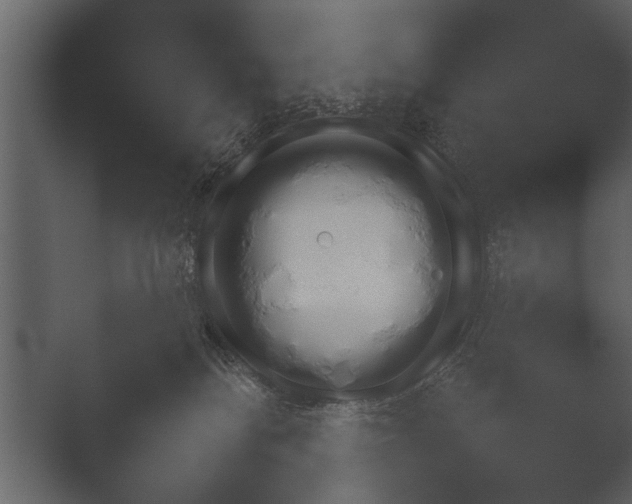 X0000052730134200507141555.png