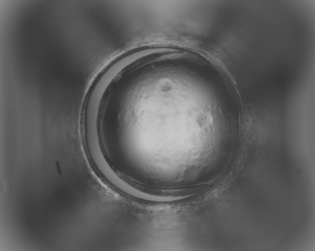 X0000051110855200507141755.png