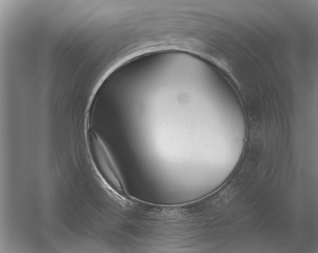 X0000055061516200508161632.png