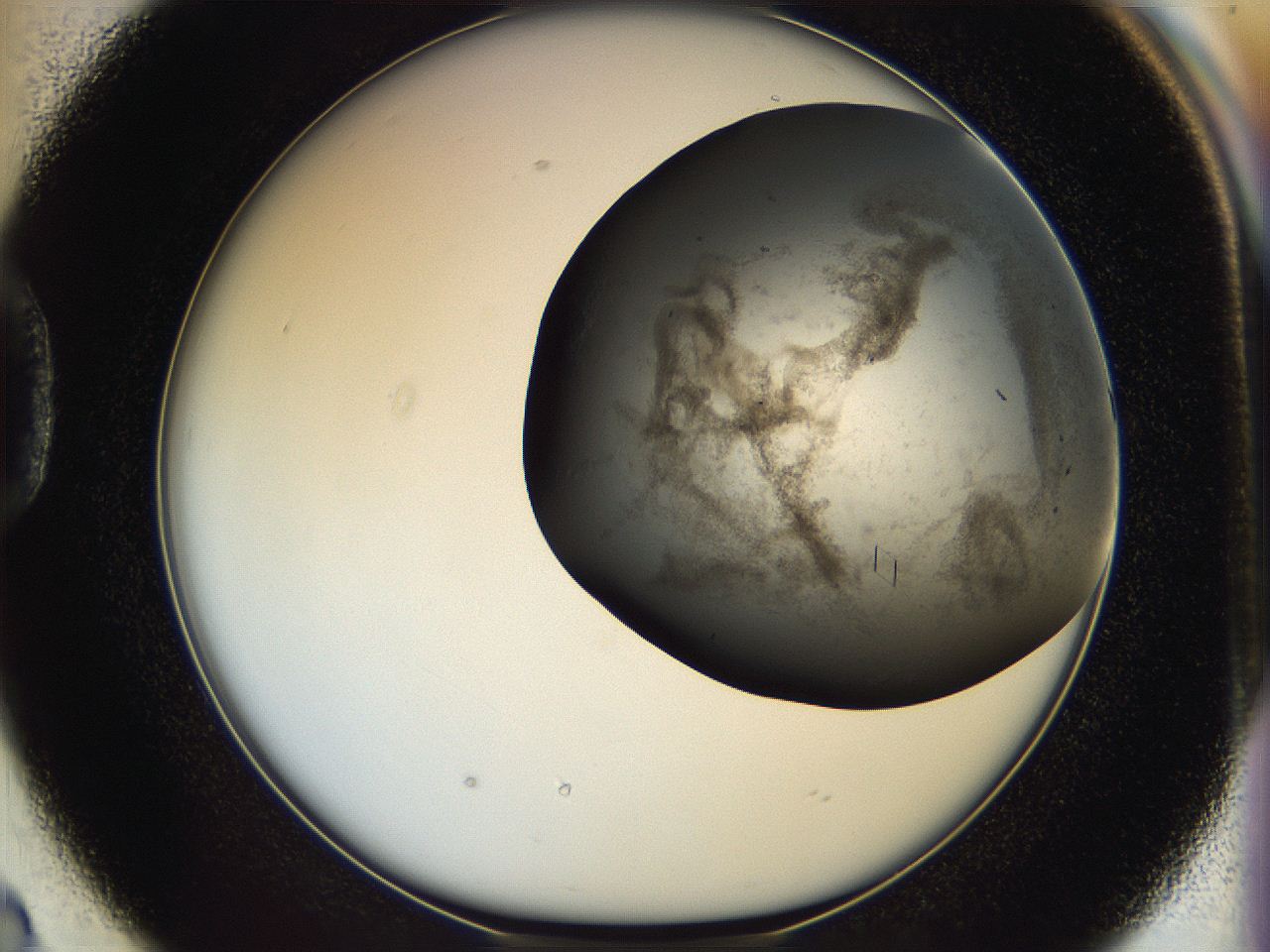05cn_D2_ImagerDefaults_9.jpg