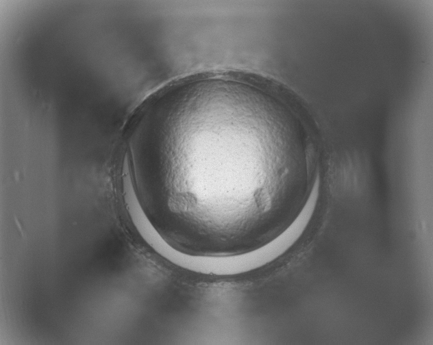 X0000054971497200509051450.png