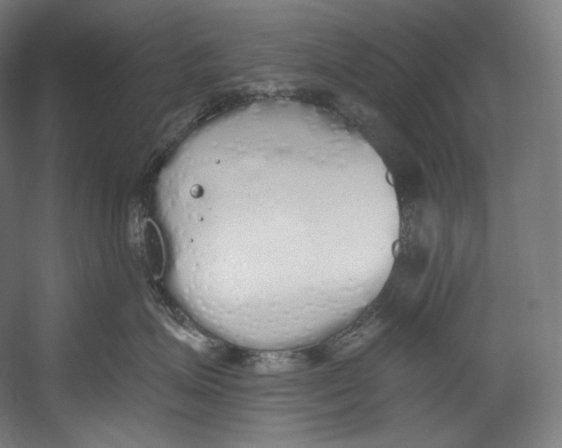 X0000055210623200508301323.png