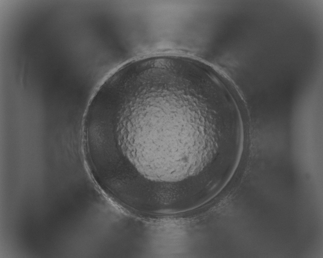 X0000051541333200506281729.png