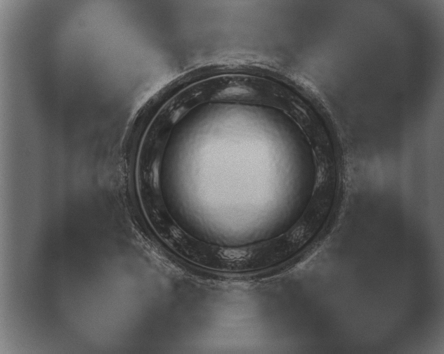 X0000040561114200411021421.png