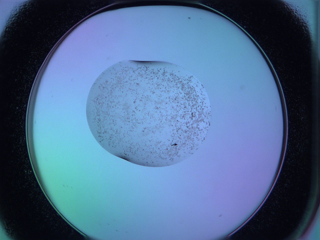 05cp_A8_ImagerDefaults_9.jpg