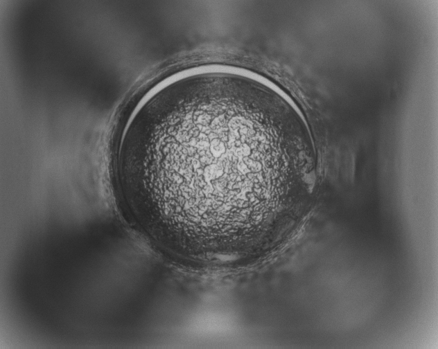 X0000041780101200411271531.png