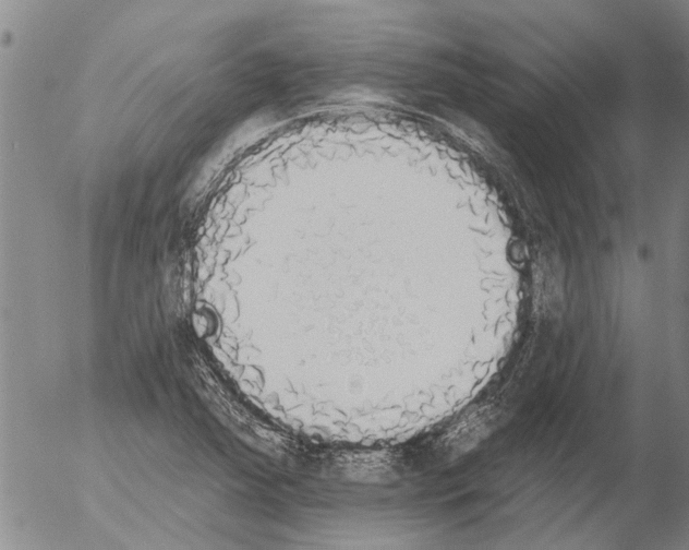 X0000054581363200508300050.png