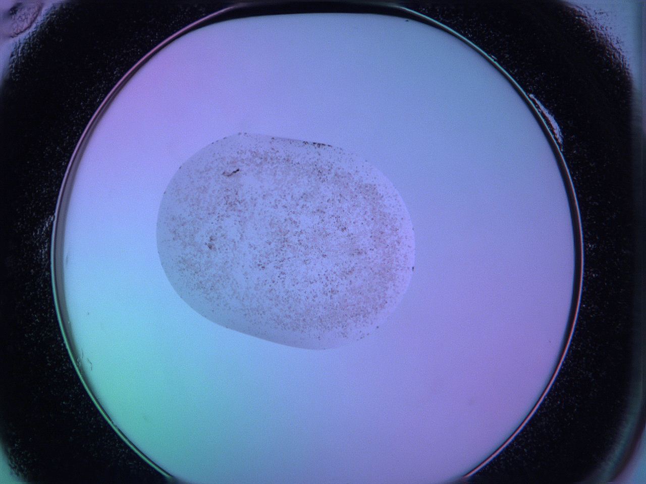 05cp_A10_ImagerDefaults_9.jpg