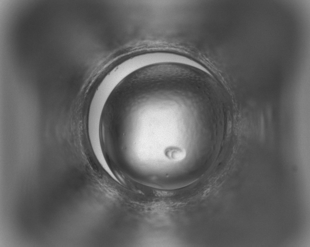 X0000051110103200507141807.png