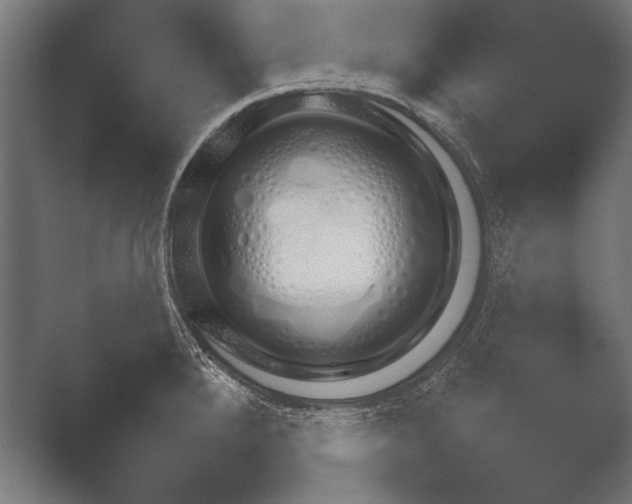X0000051111288200507141747.png