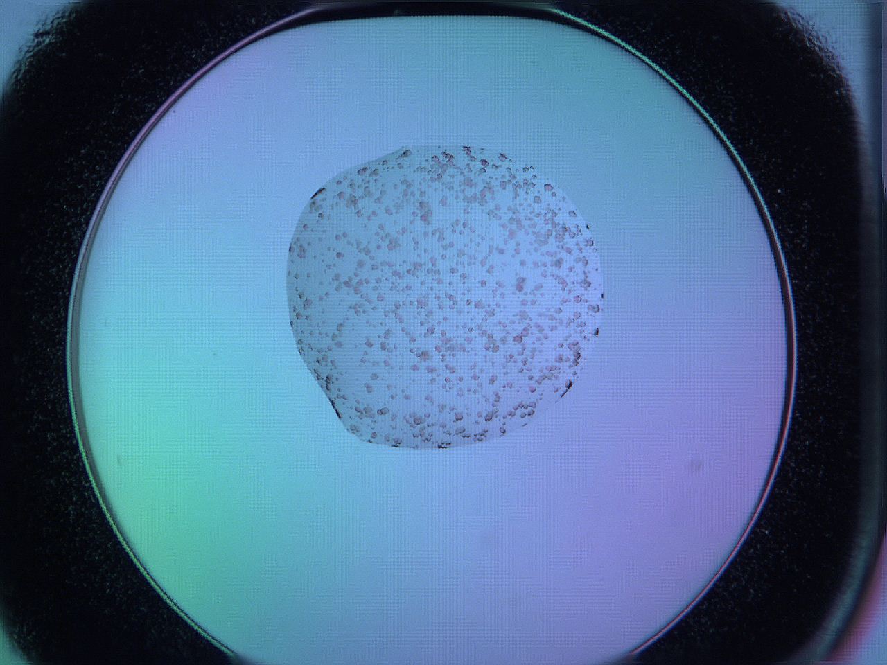 05cp_B9_ImagerDefaults_9.jpg