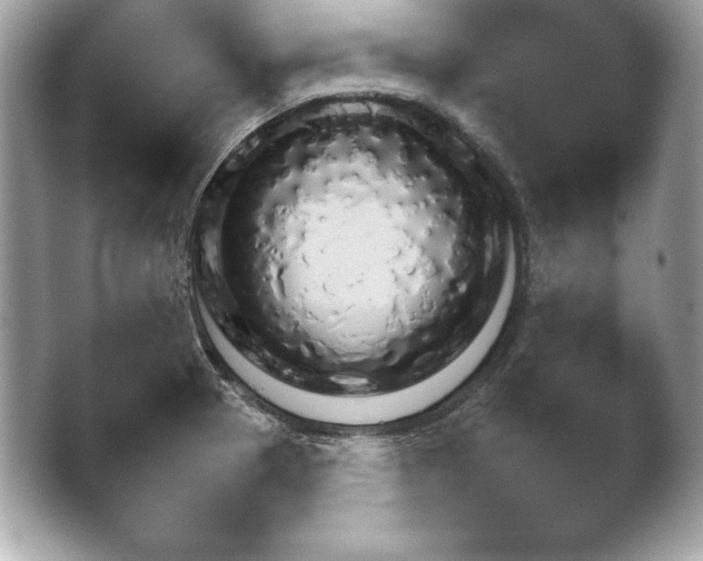 X0000043781329200412291315.png