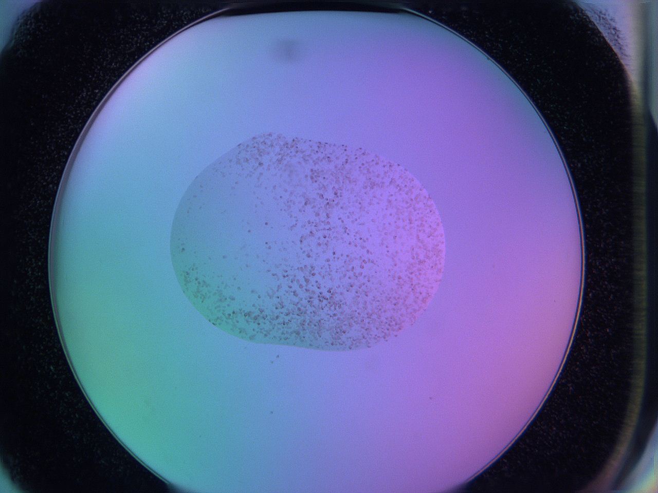 05cp_G6_ImagerDefaults_9.jpg