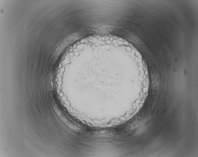 X0000054580634200508300101.png