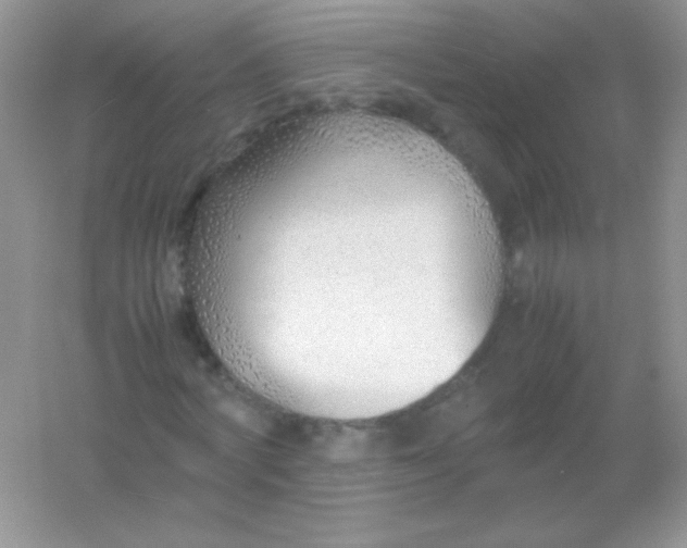 X0000054330772200508111918.png