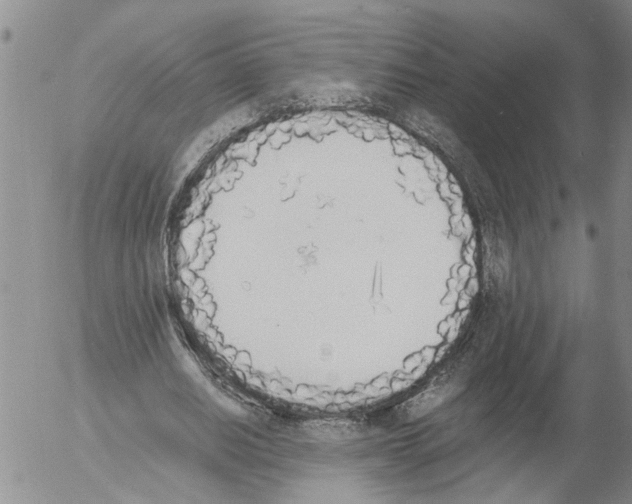 X0000054580630200508300101.png