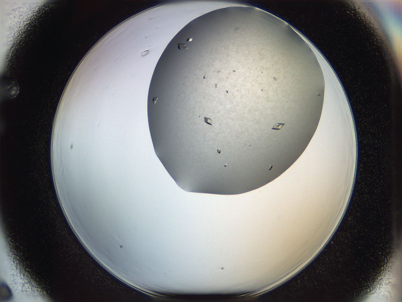 05cu_F6_ImagerDefaults_9.jpg