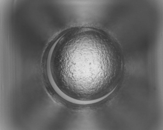 X0000054970674200509051505.png