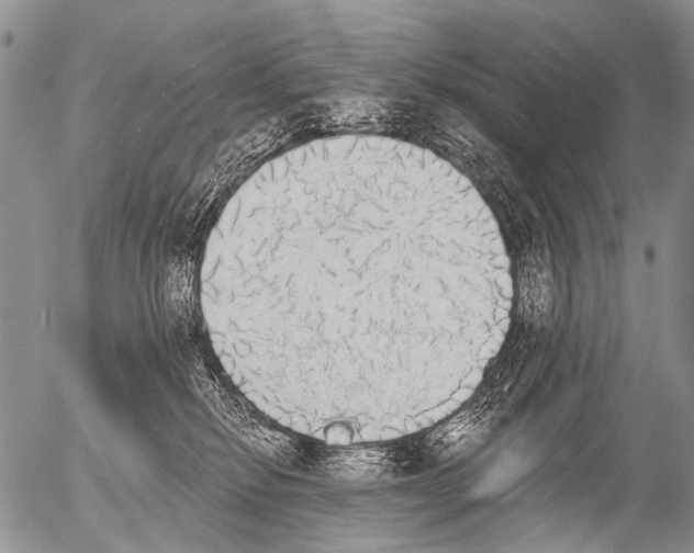 X0000054580278200508300108.png