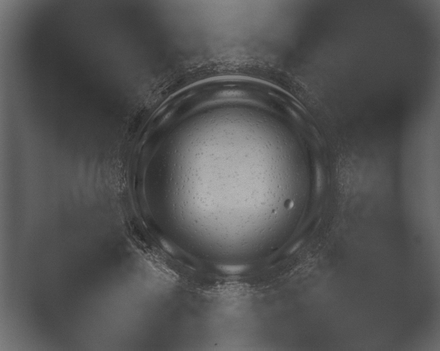 X0000052730455200507141550.png