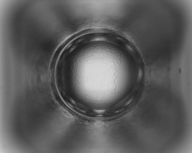 X0000042230787200411232104.png