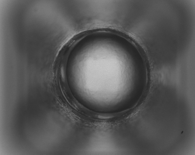 X0000040561023200411021423.png