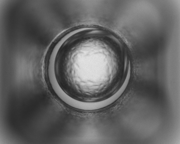 X0000041781076200411271514.png