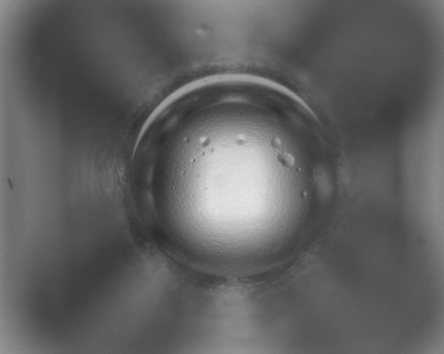 X0000054110115200508022109.png