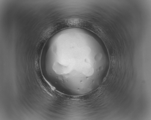 X0000055210408200508301327.png