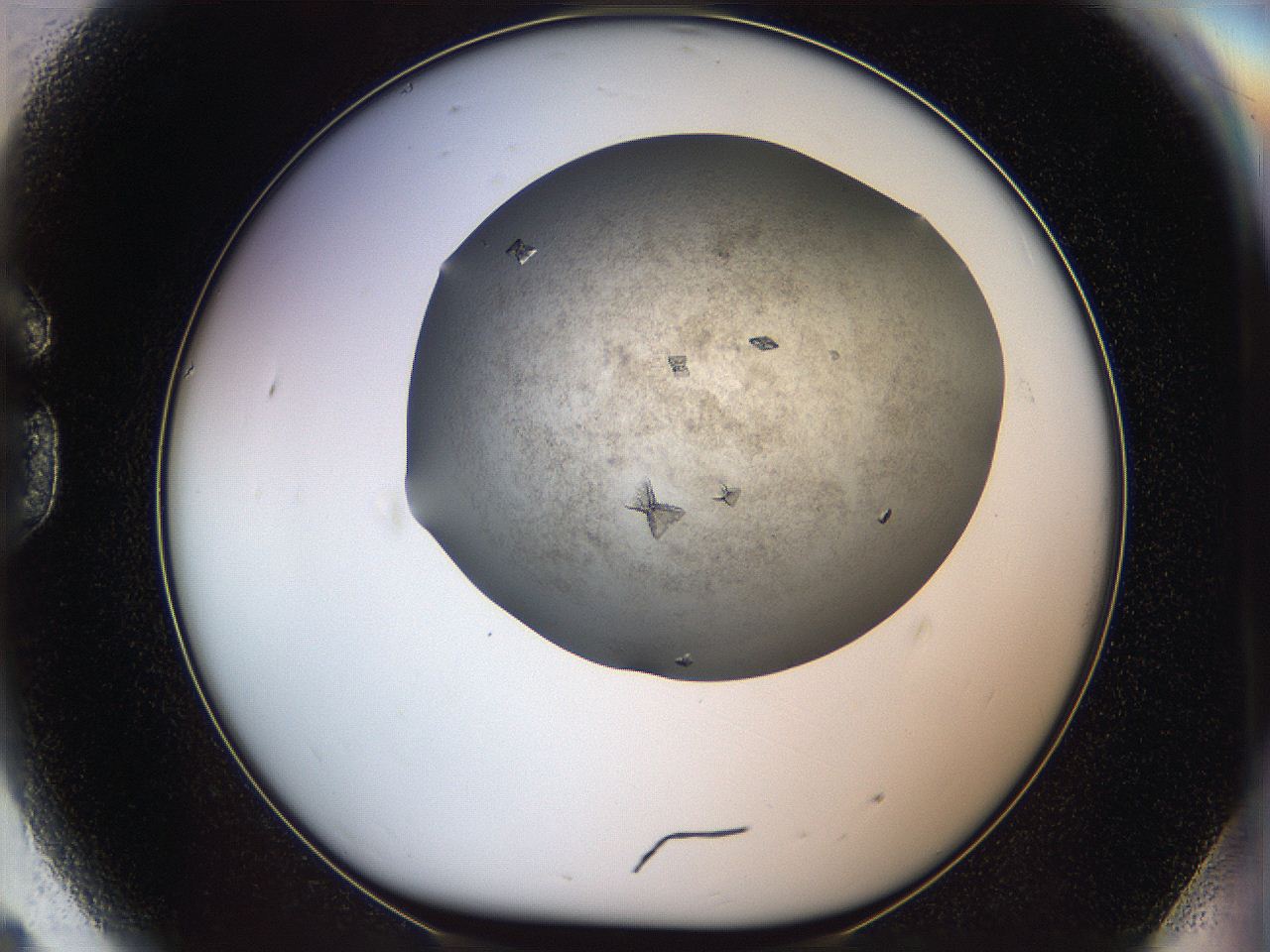 05cu_G9_ImagerDefaults_8.jpg